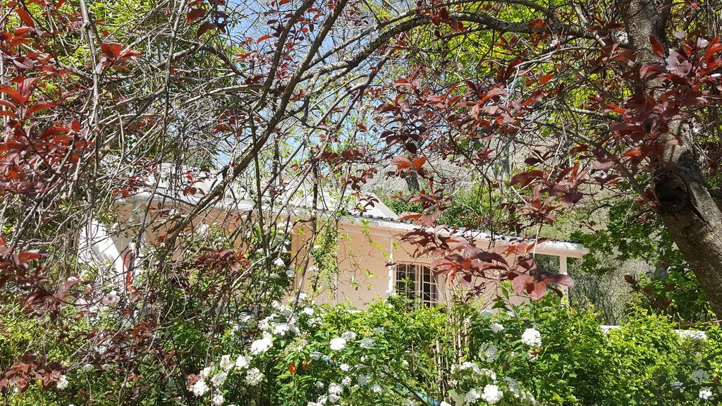 Old Nectar Villa Stellenbosch Exterior photo